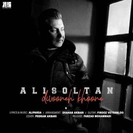 آهنگ جدید علی سلطان  به نام دیوونه خونه